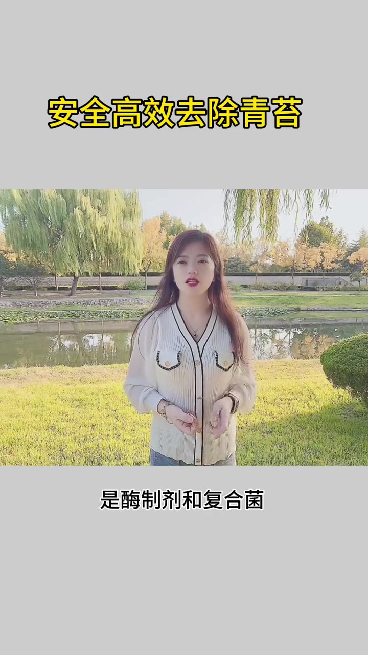 安全高效清除青苔 海参养殖 南美白对虾养殖 鱼虾蟹养殖