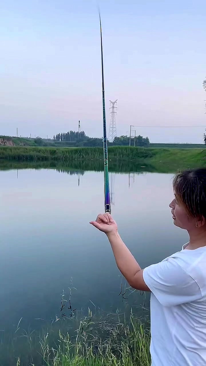 变色龙涂装全水域通用钓鱼竿
