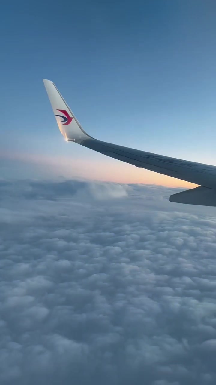 漂洋过海来送礼～大连的烤鱼片飞奔万里来版纳