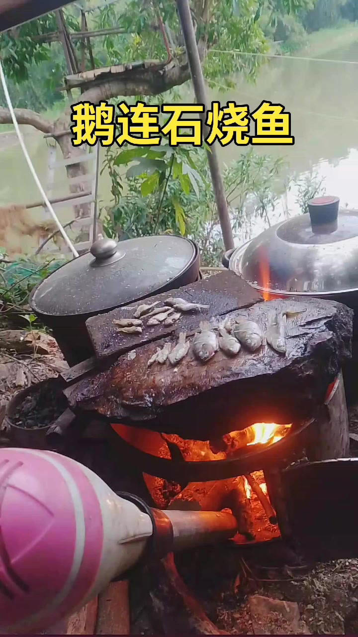 老周户外烧鱼,农村牛人在野河拉网捕鱼,小岛生活,记录真实的。
