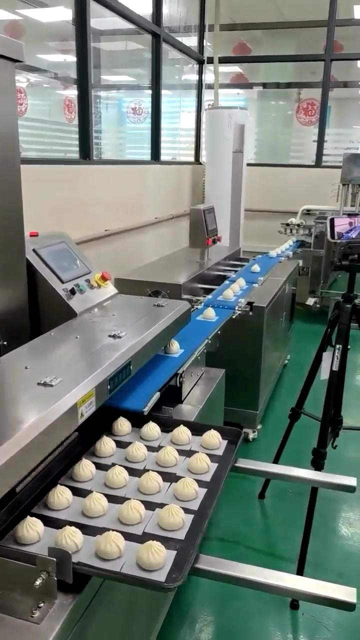 290包子机+垫纸机+排盘机现场试机