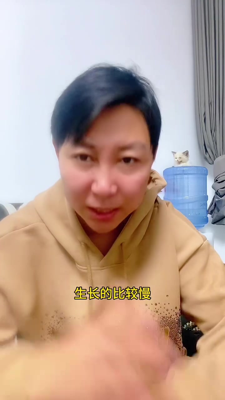 带鱼你会买了吗?