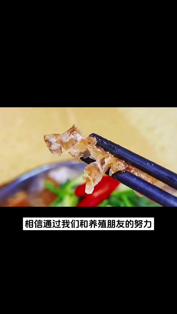 一斤1500?什么鱼一吃就忘不了的?「忘不了鱼」自带果香,肉质肥美!忘不了鱼 马来西亚 名