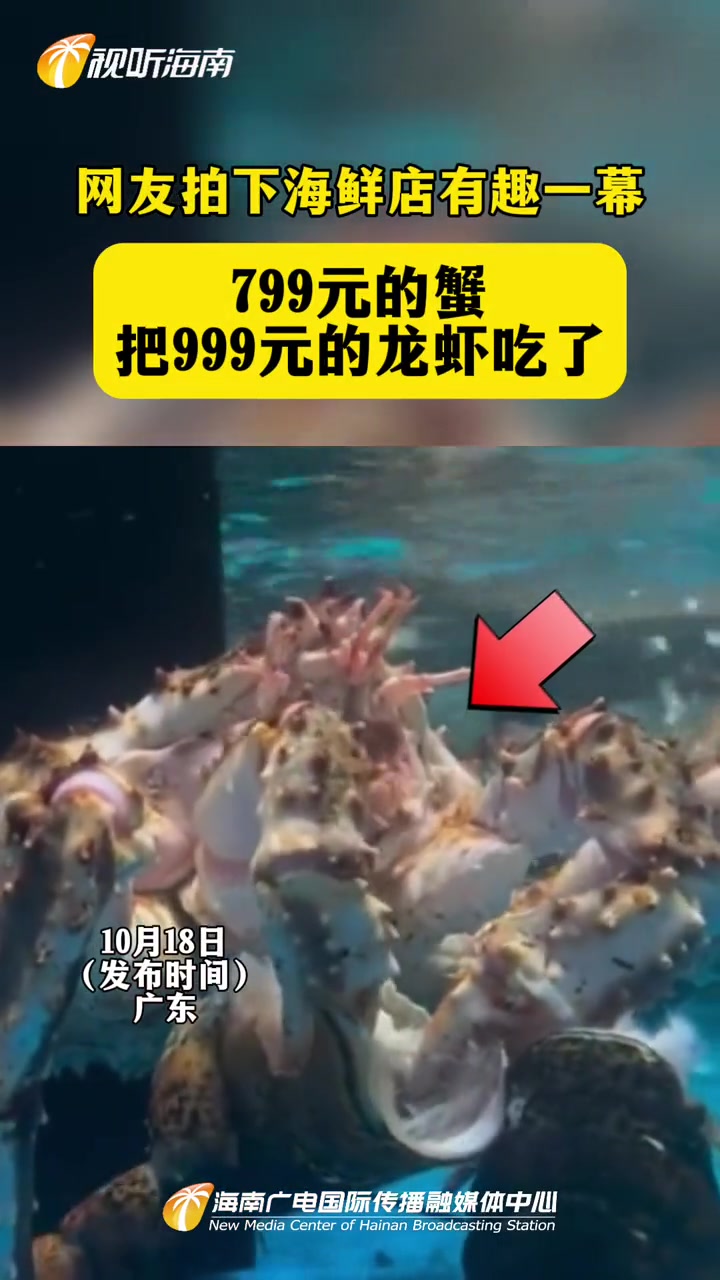 网友拍下海鲜店有趣一幕 799元的蟹把999元的龙虾吃了 笑不活了 生猛海鲜