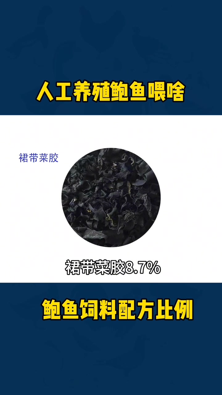 怎么饲养鲍鱼长大,科学搭配水产饲料配方