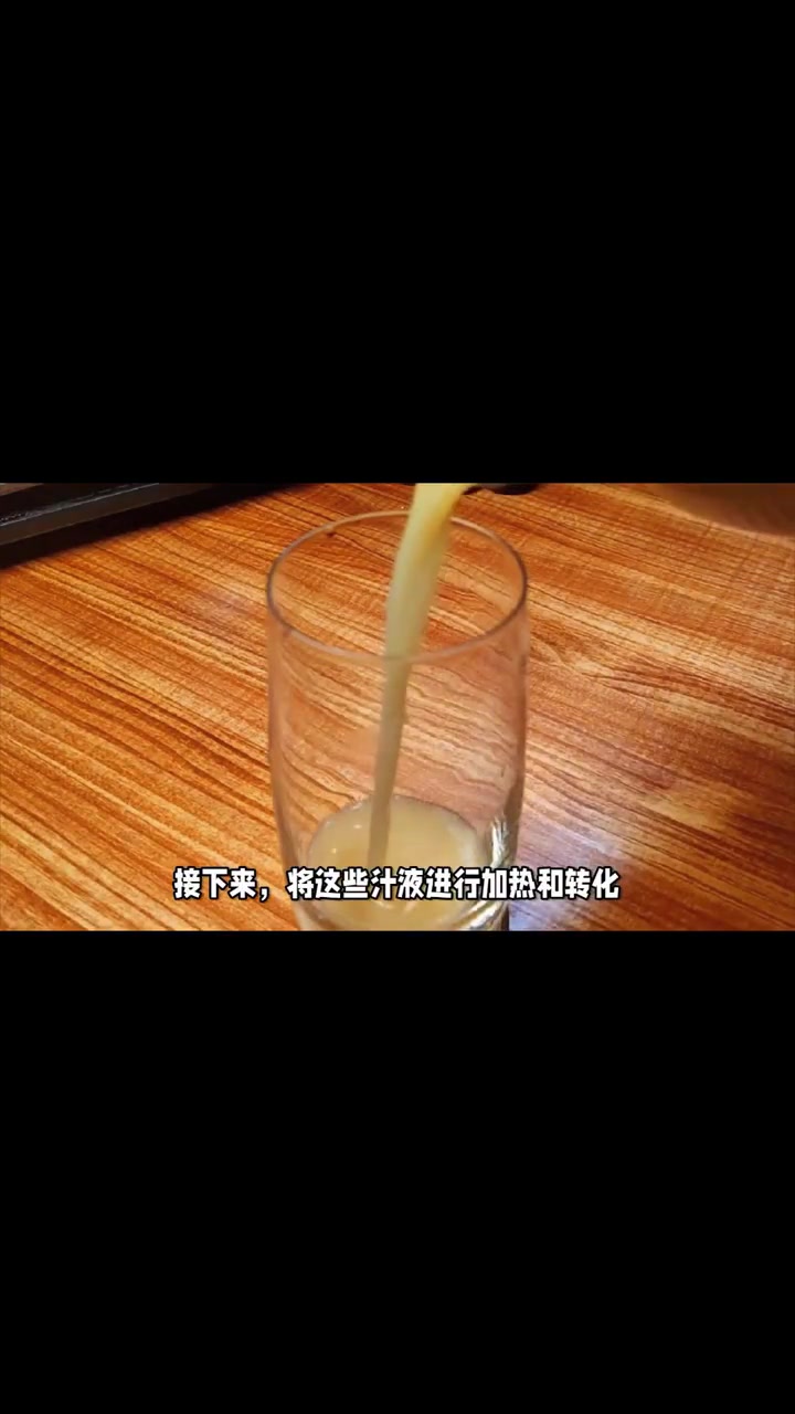 糖的诞生,甘蔗或者甜菜的蜕变之旅 糖的制作过程 甘蔗 甜菜制糖