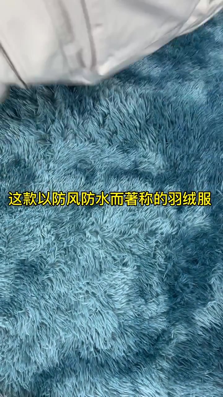 「加拿大鹅」承包你这个冬季的羽绒服!