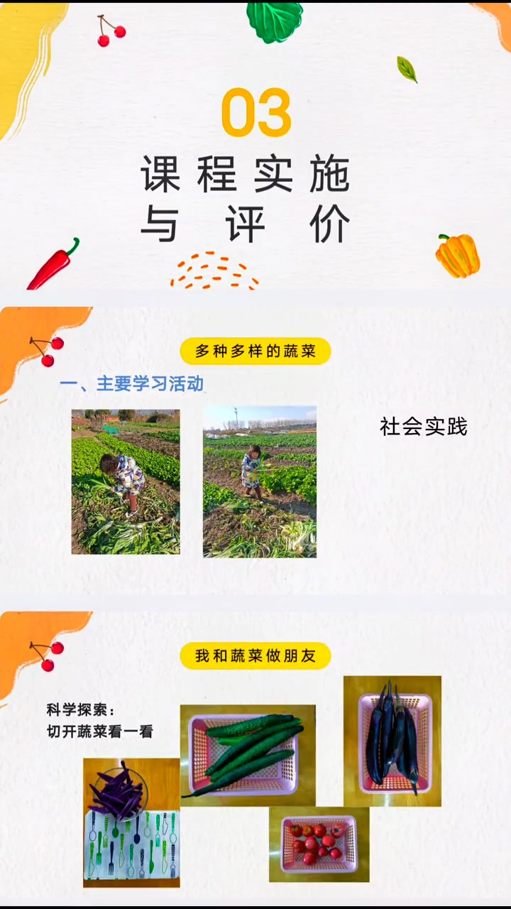 幼儿园班本课程 幼儿园班本课程ppt 班本课程故事ppt 班本课程 幼儿园班本课程《蔬菜的