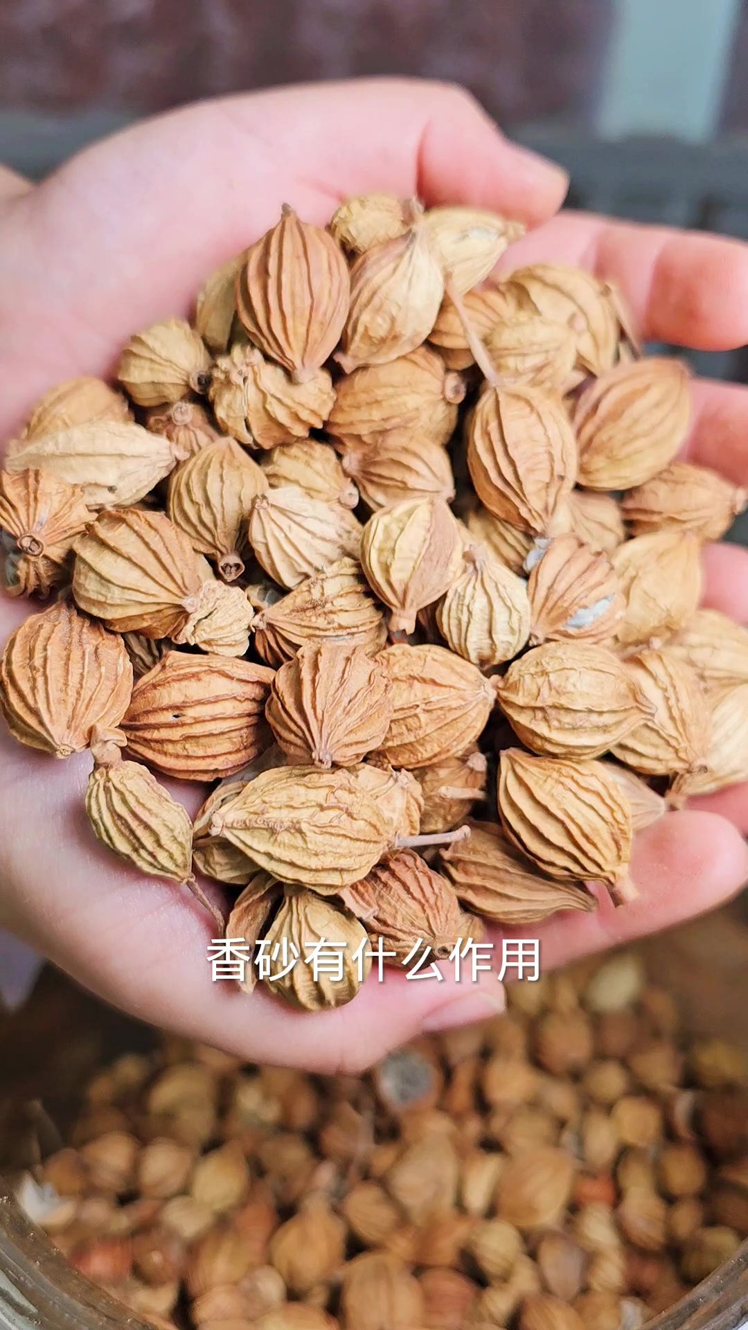 卤肉常用香料的名称作用及用量