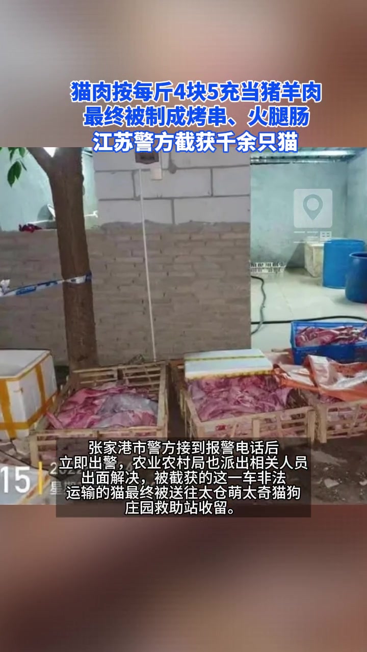猫肉按每斤4块5充当猪羊肉,最终被制成烤串、火腿肠来到我们的餐桌,江苏警方截获千余只猫 动