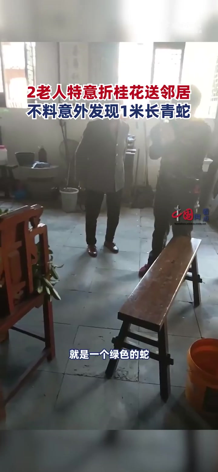 「2老人折花送邻居意外发现1米青蛇,当事人:猜测蛇快冬眠了,幸好没咬到人「惊哭」」10月1