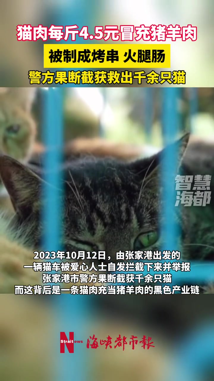 猫肉每斤4.5元冒充猪羊肉,被制成烤串火腿肠,警方果断截获救出千余只猫!