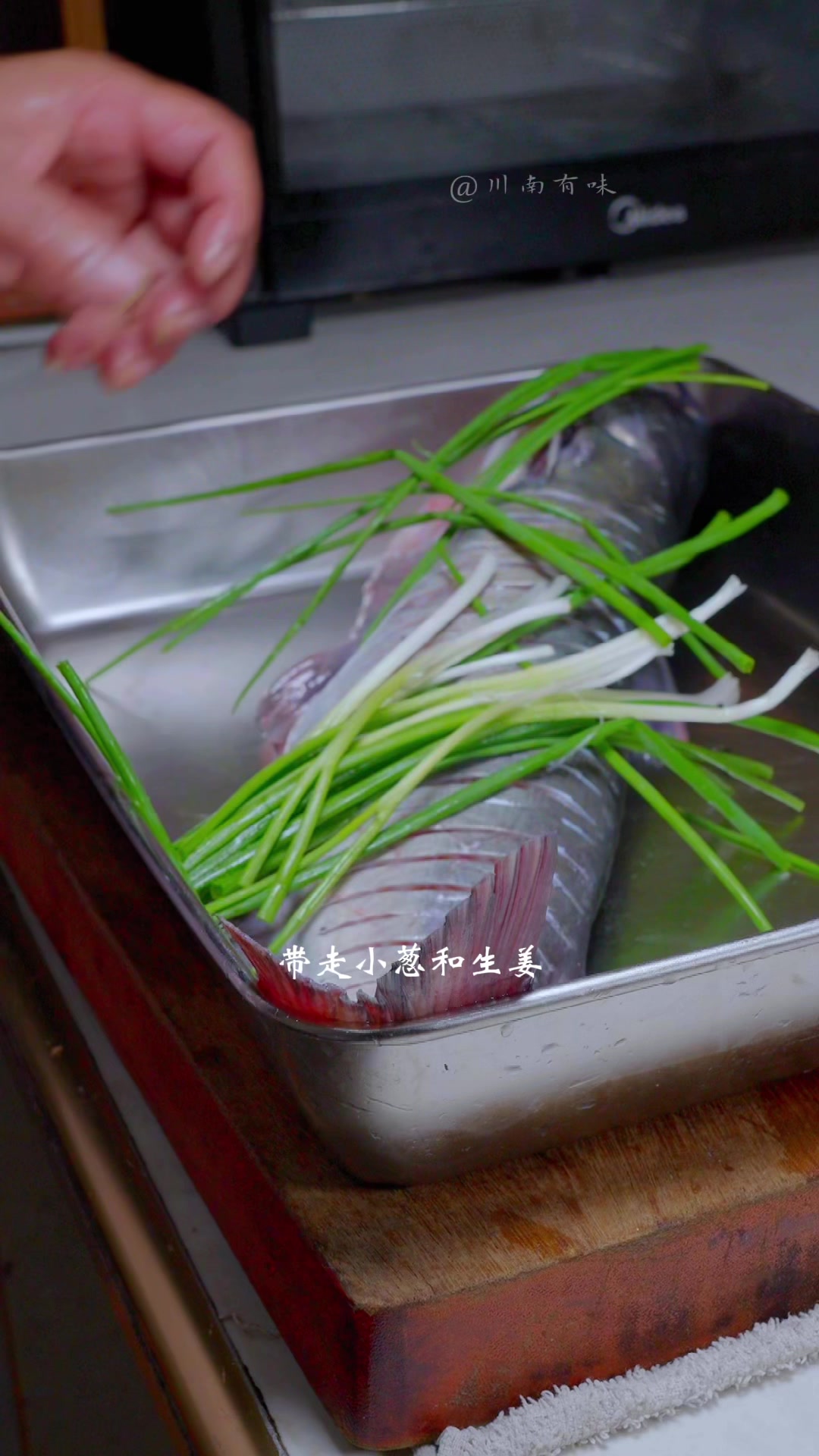 关于一个不务正业的道士超度鱼