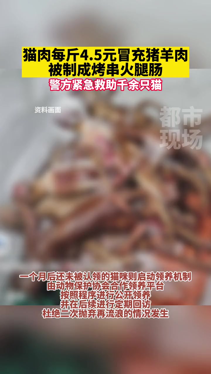 猫肉每斤4.5元冒充猪羊肉被制成烤串火腿肠,警方紧急救助千余只猫 猫 关爱动物 反对虐猫