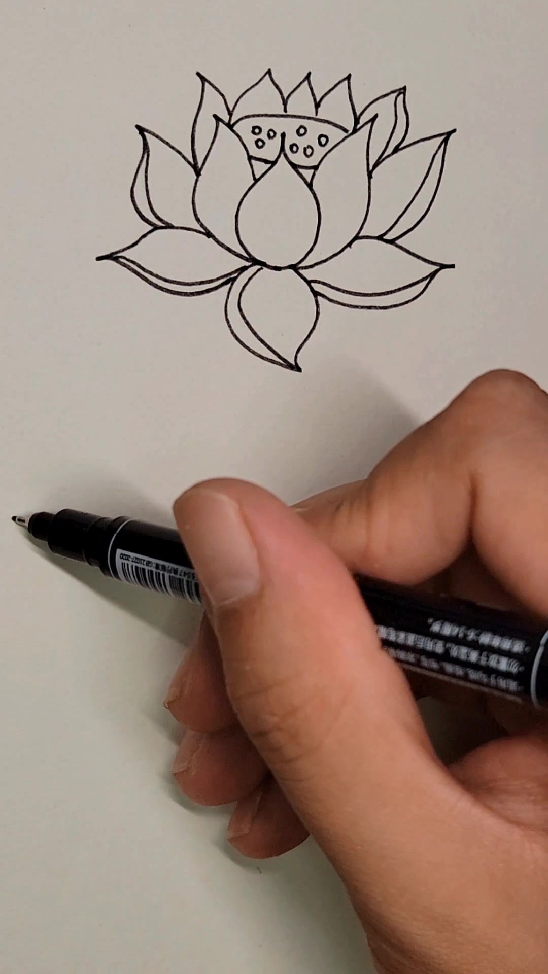 荷花简笔画,简单好学易上手,快来试一试吧~