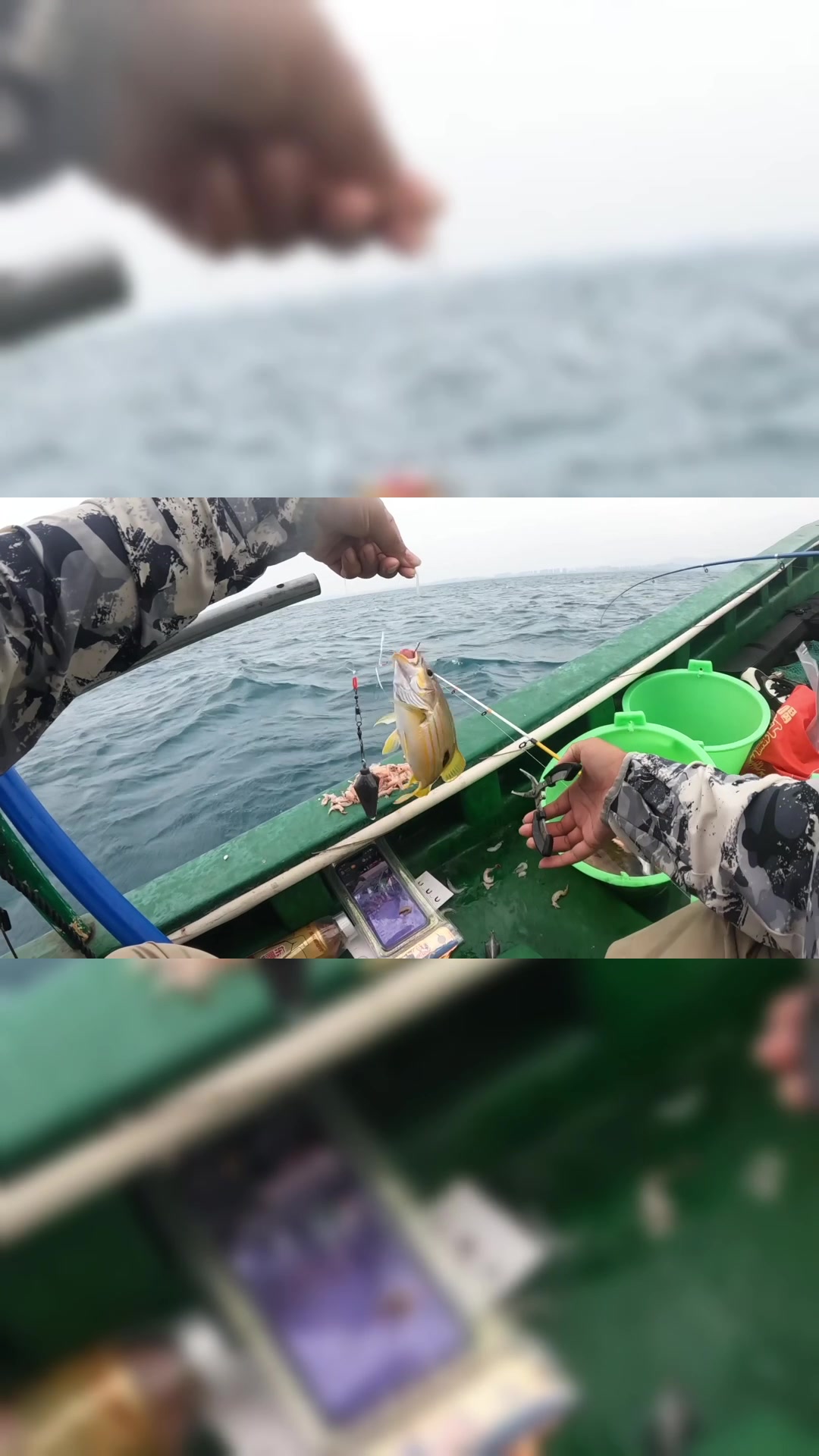 海钓出黄鸡,非常好吃的一种鱼