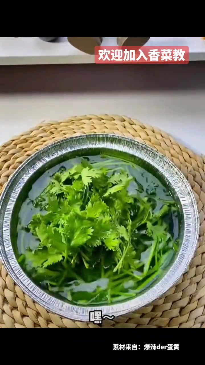 欢迎加入香菜教 欢迎加入香菜教
