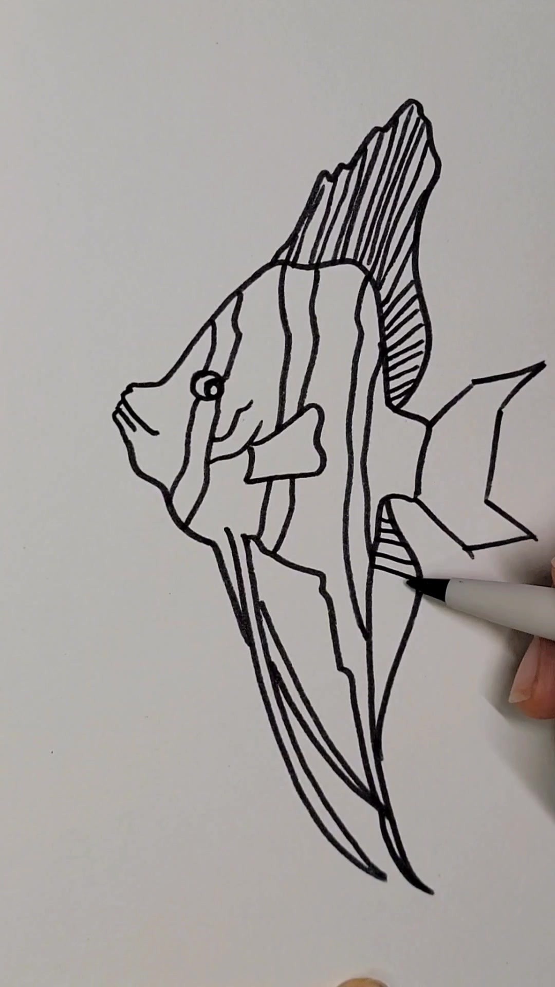 鱼儿简笔画,快画起来~