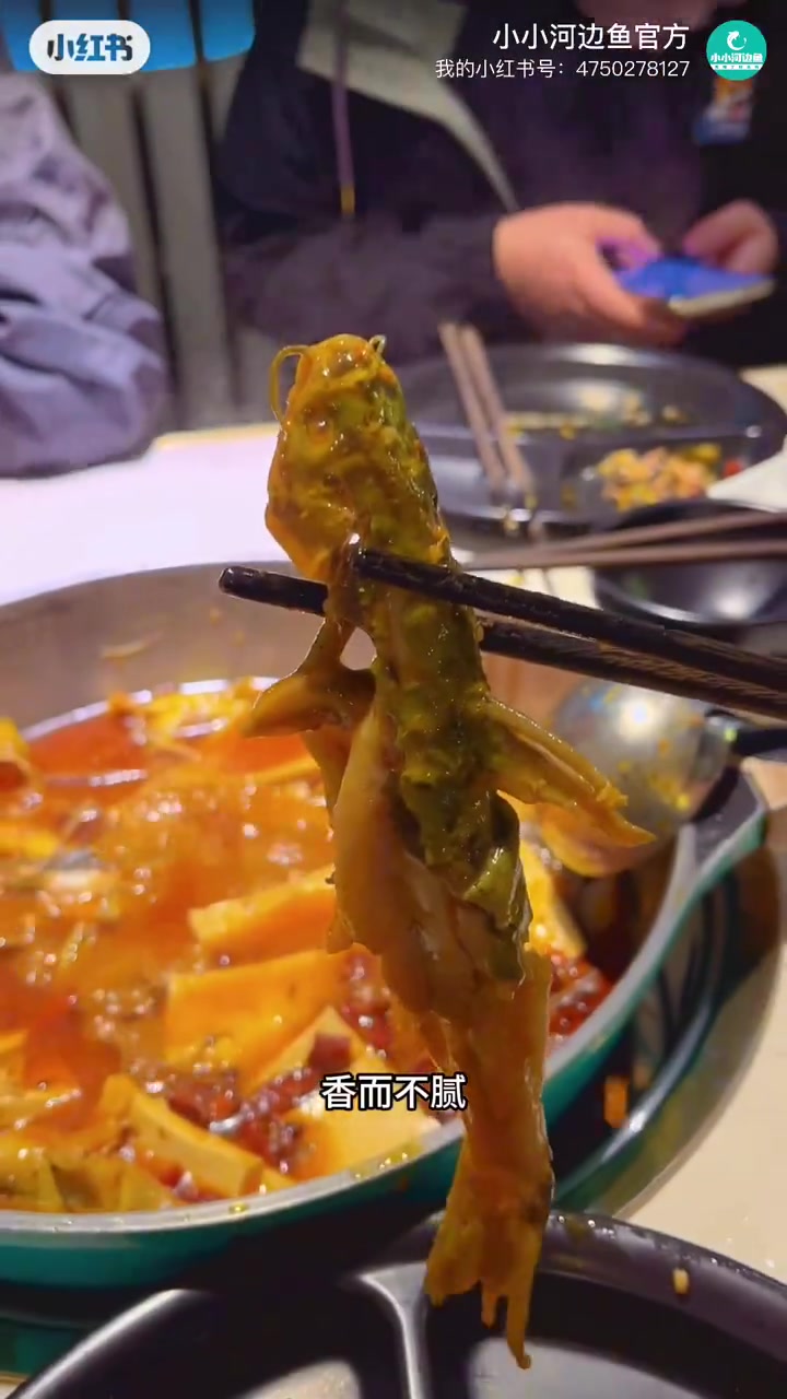 还在因为每天吃什么而发愁吗「爱心」快来尝尝现炒锅底鲜活黄辣丁叭～「偷笑」吃过的都说好～吃完