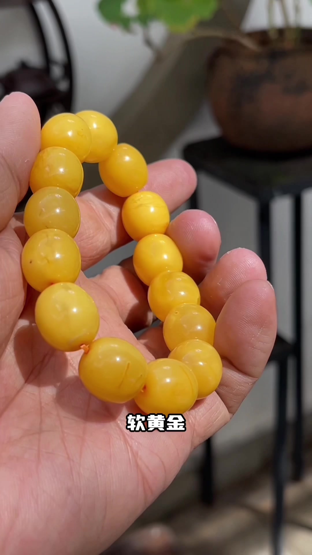 今天带你认识传说中的满蜜鸡油黄老蜜蜡手串