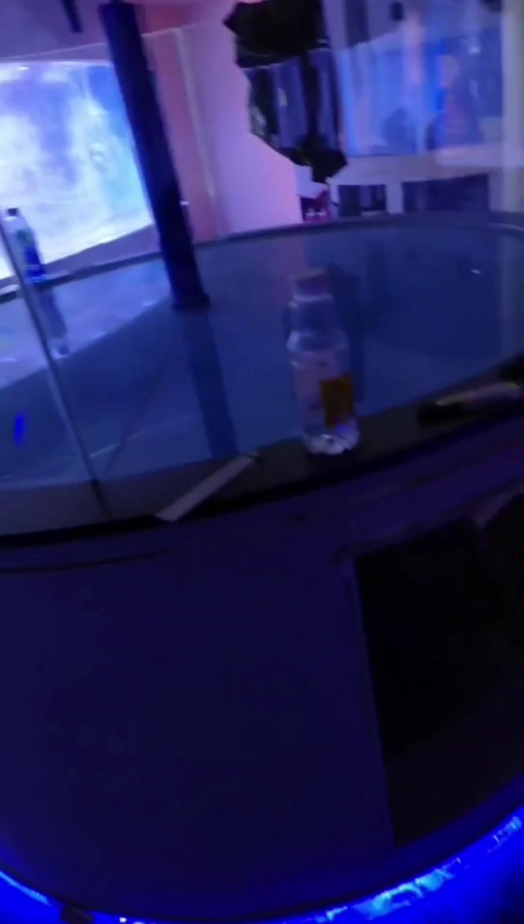 朋友圈被大圆哥霸屏的第三天!酒店大型亚克力观赏鱼缸,