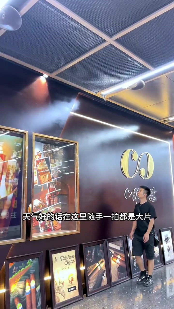 这下午茶太惬意了还能拍出绝美飞机 厦门 惬意时光 下午茶 悠闲下午茶 享受生活