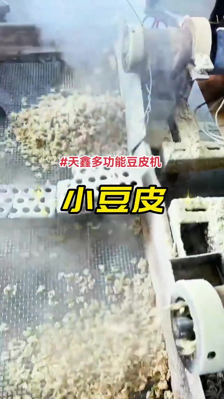 多功能豆皮机 牛排豆皮机 人造肉机 素鸡机机 豆肠机 一机多用,多功能豆皮机器