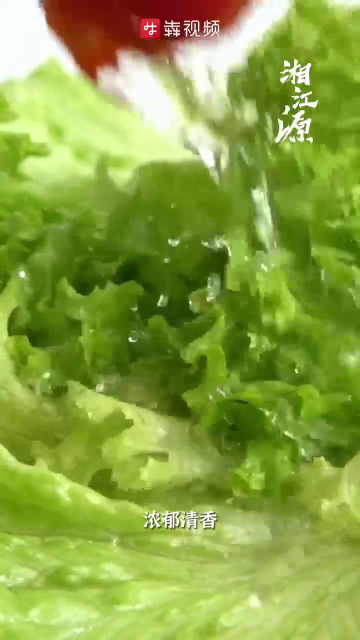 家湘丨蔬菜溯源