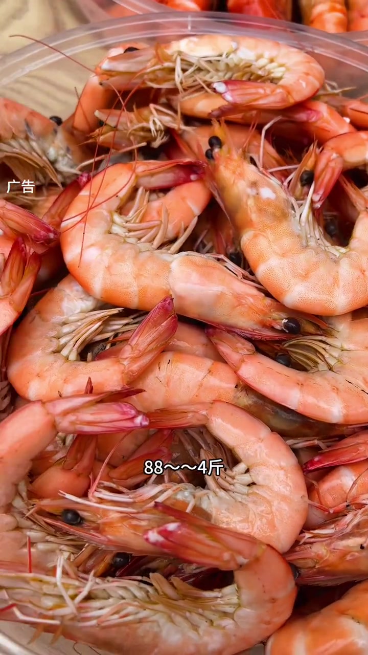 虾都这么卷了还不尝尝?精品海鲜 吃虾 活虾 白灼虾