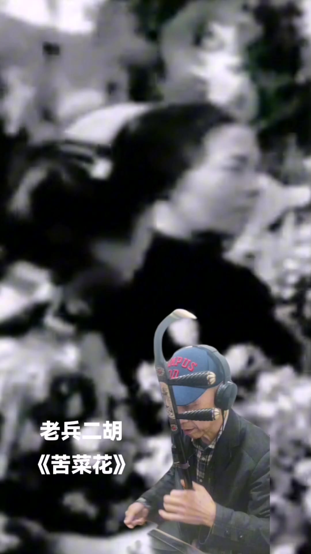 老兵二胡《苦菜花》
