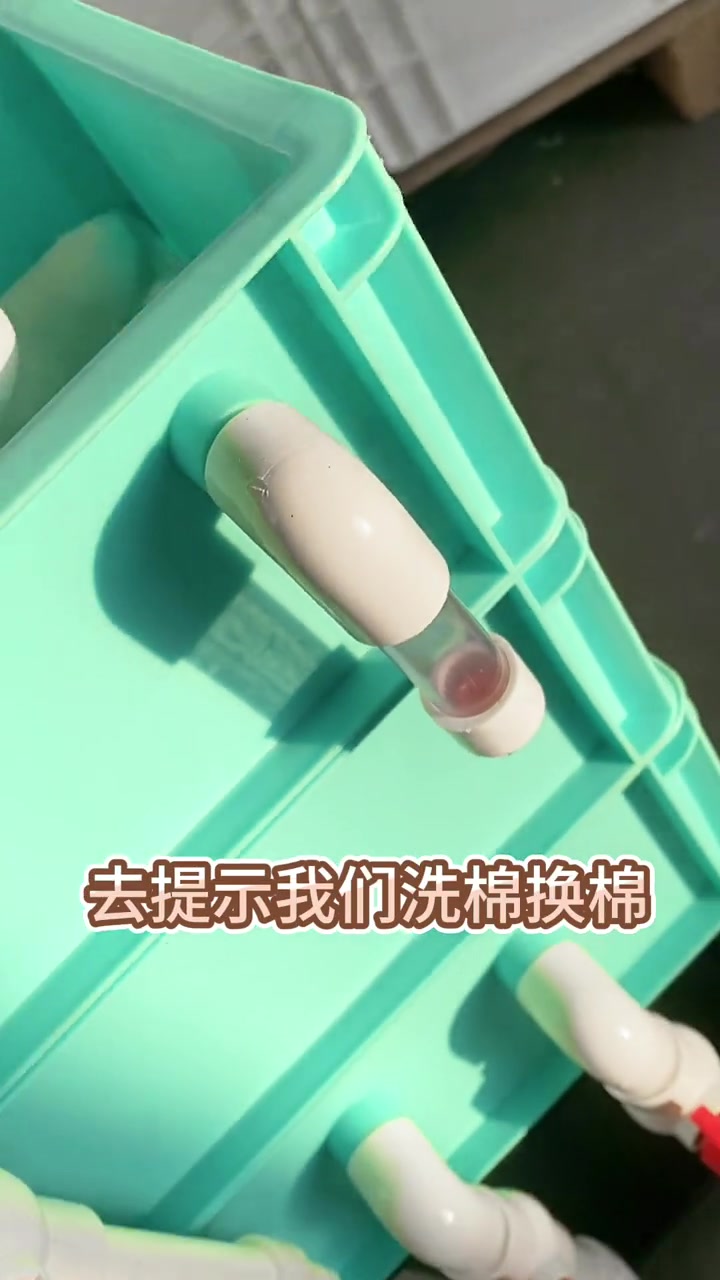 养鱼先养水一起来了解还你鱼缸水清鱼靓的过滤器的过滤原理 过滤器 水族 养鱼日记 观赏鱼 好