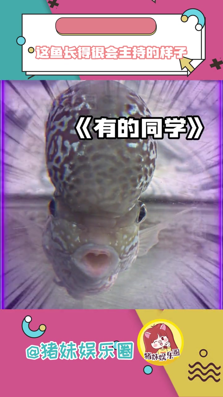 这鱼真把我笑yue了!完颜慧德老师太会讲话了!鱼 搞笑 离谱 完颜慧德