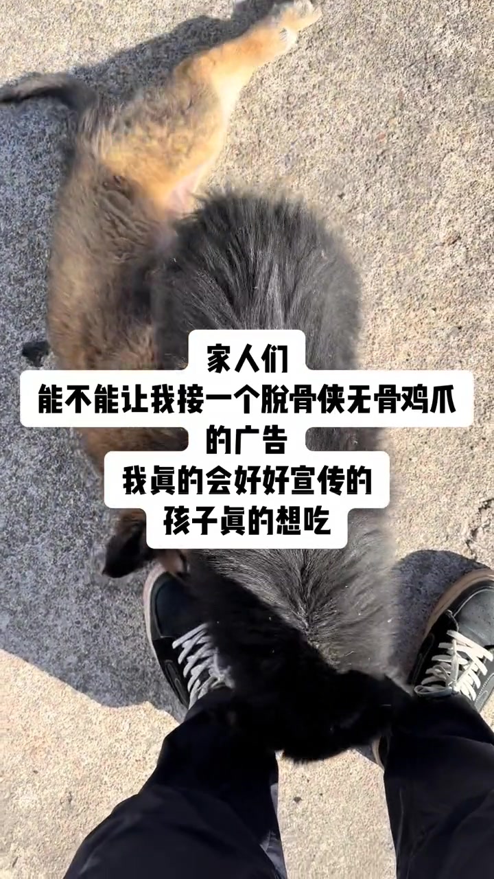 让我接一个脱骨侠无骨鸡爪的广告吧,我一定会好好宣传的 脱骨侠酸辣无骨鸡爪
