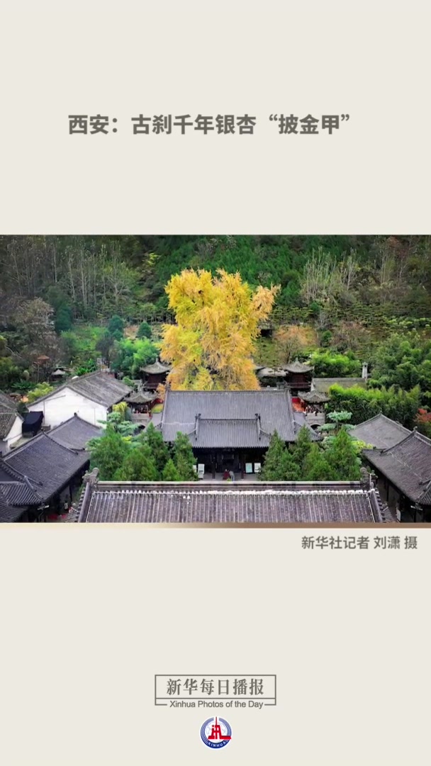 新华每日播报|11月1日