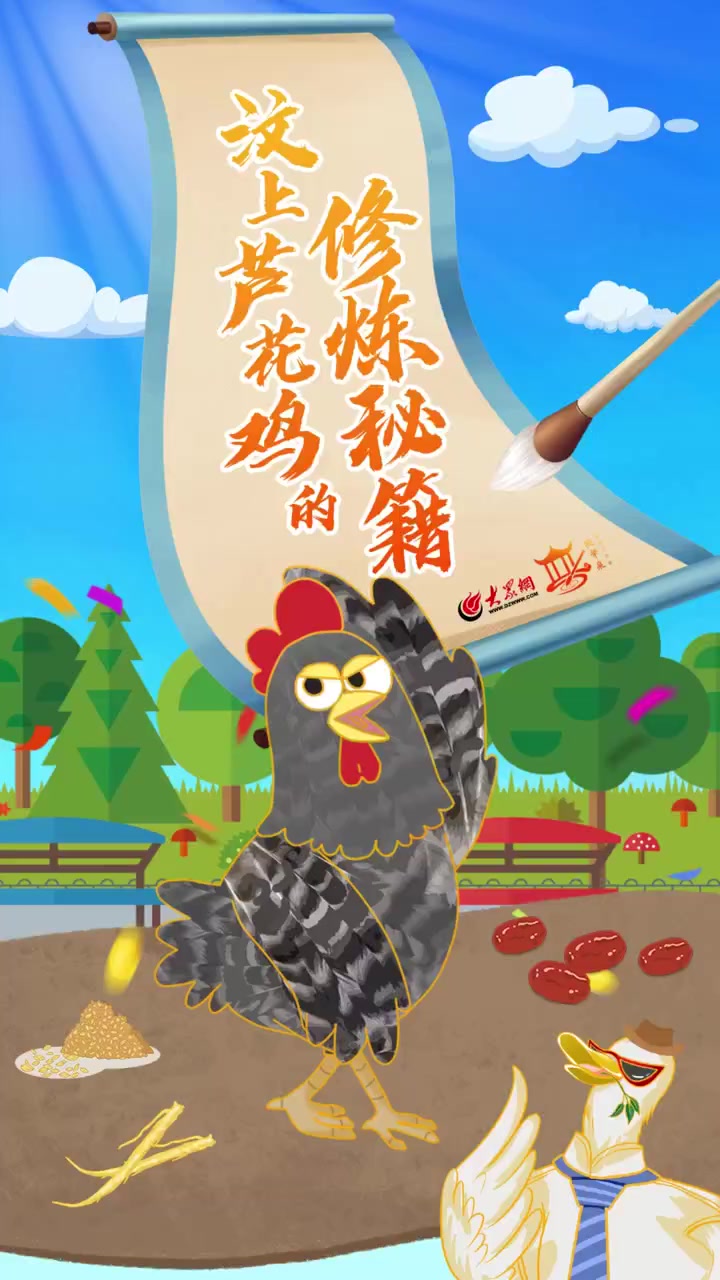 我家就在岸上住丨汶上芦花鸡的“修炼秘籍”