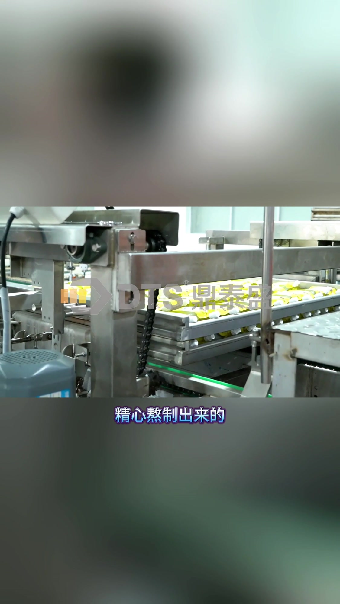 鼎泰盛袋装饮品杀菌锅