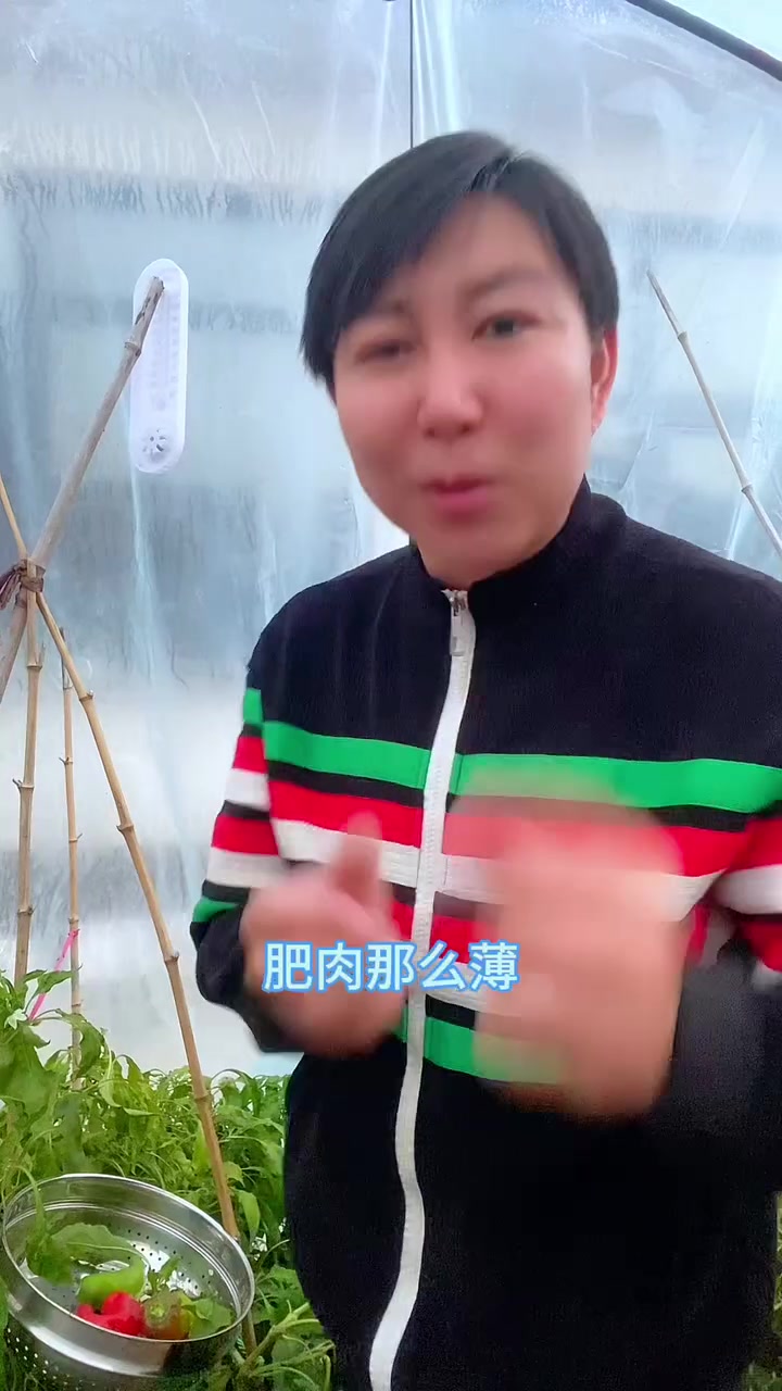 猪肉如何辨别好坏注水肉母猪肉怎么分辨