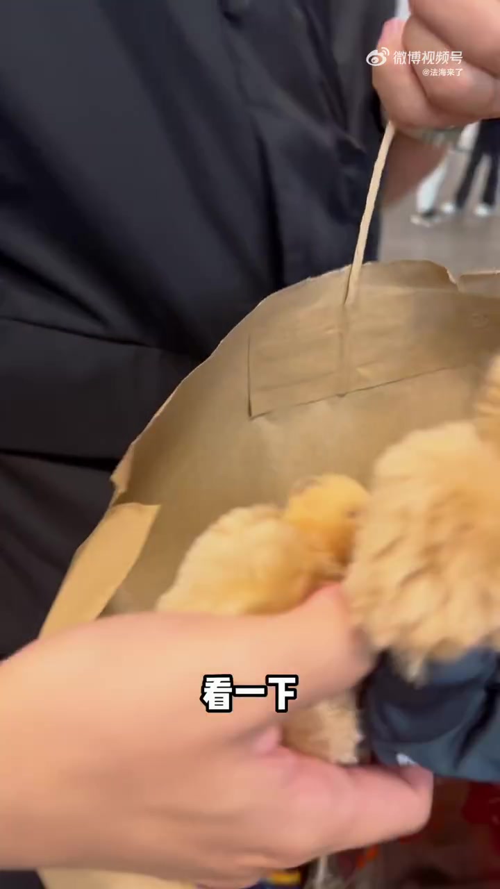 万万没想到,双11购物第一站是纽马马博会「飞机」领物流程:出示「参赛确认函」和「护照」直接