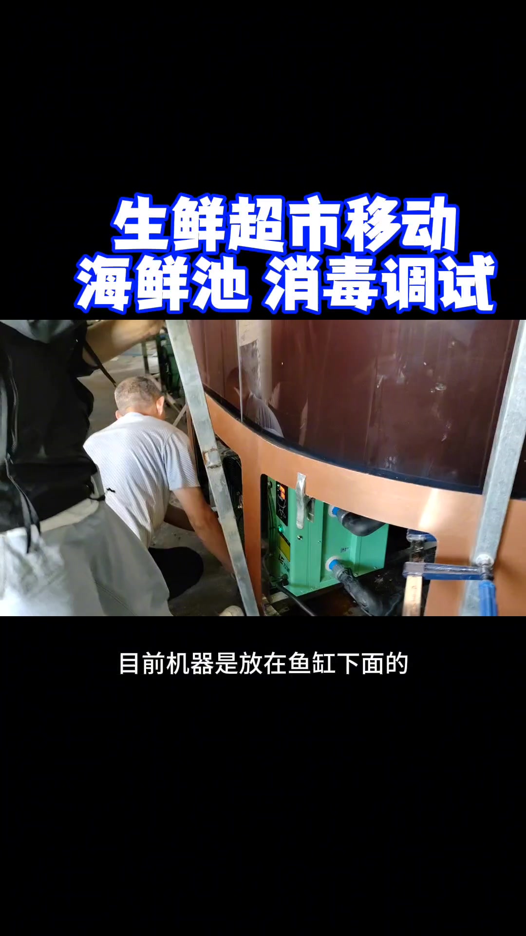移动海鲜池厂家定做-超市海鲜鱼缸,移动海鲜池,海鲜鱼缸,鱼缸