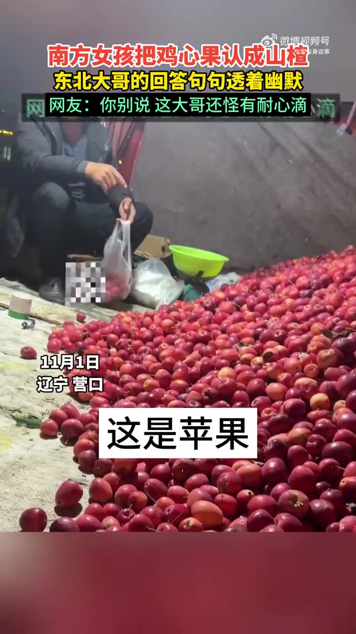 美好辽宁欢迎您 辽宁营口,南方女孩把鸡心果认成山楂,东北大哥的回答句句透着幽默。美味辽宁等