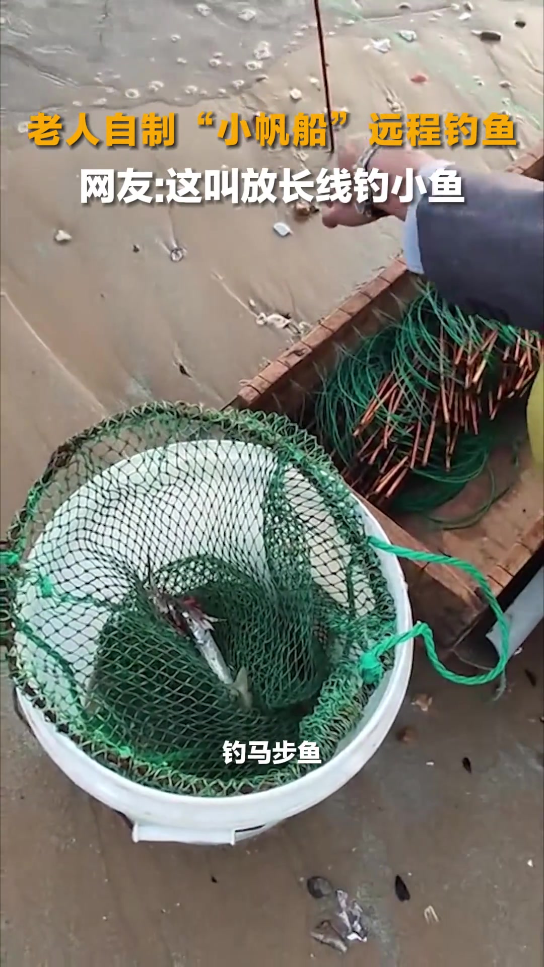 11月3日(采访时间),山东烟台,家住海边的丁先生拍摄到老人自制“小帆船”远程钓鱼。老人介