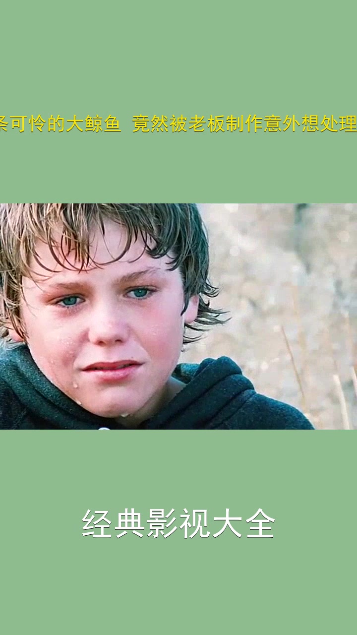 #关注我看精彩视频#宝藏影视安利#正在看的剧