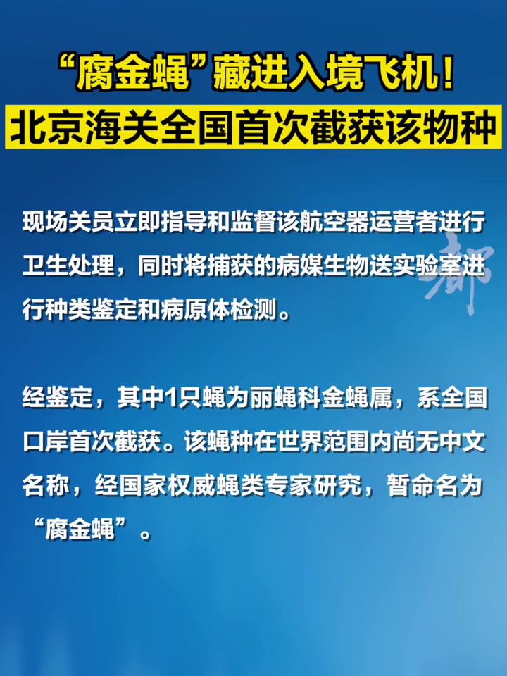「“腐金蝇”藏进入境飞机!北京海关全国首次截获该物种」近日,北京海关所属首都机场海关在对入