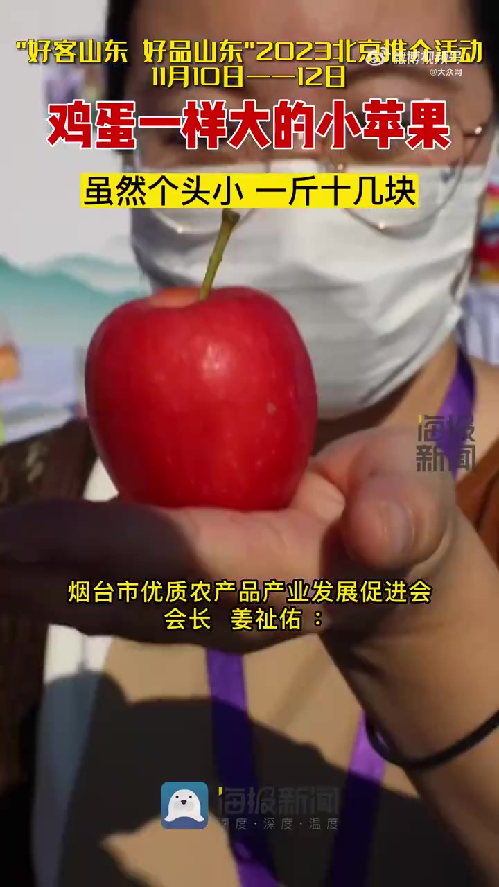 「鸡蛋大小的苹果甜到心巴上 一斤能卖十几块「色」」11月10日至12日,“好客山东好品山东
