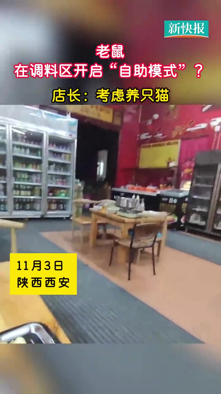 「餐饮店调料区老鼠开启自助模式 店长:考虑养只猫」11月3日,网友爆料在陕西西安某牛肉串店