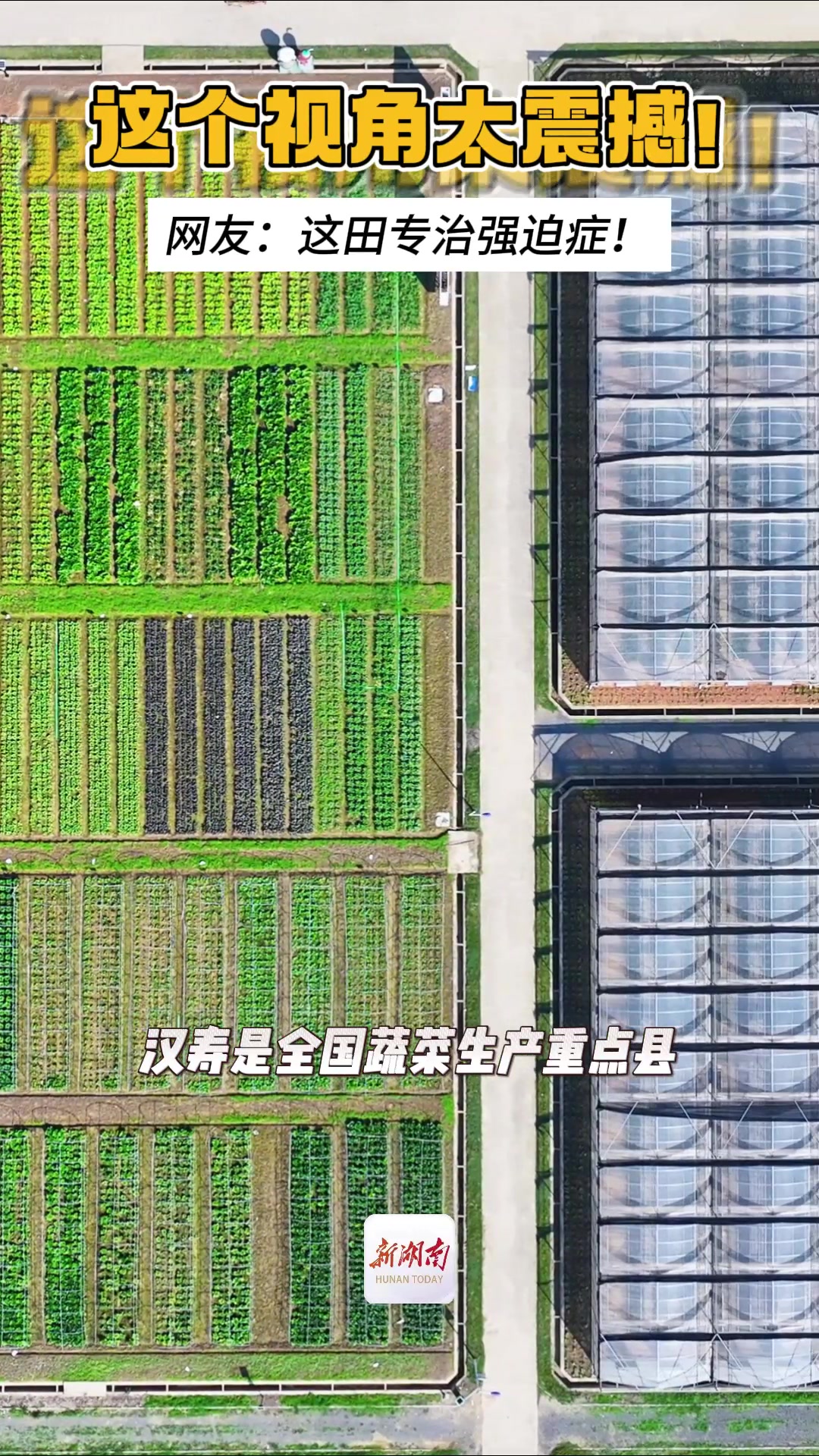 震撼!航拍汉寿县围堤湖蔬菜基地,感受不一样的美