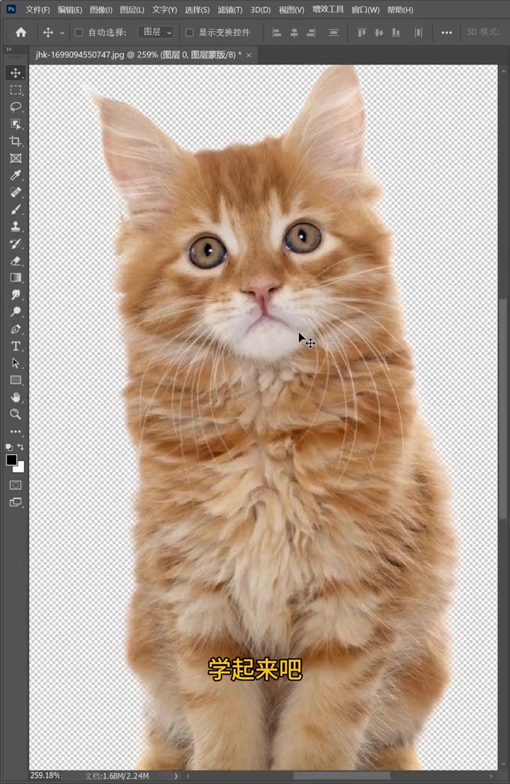 双十一来了搞个插件提高提高提高工作效率 设计 海报设计 电商 双十一