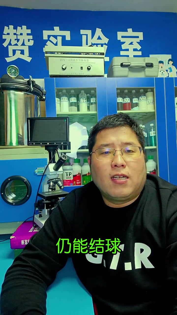 大白菜的病毒病该如何预防?大白菜的病毒病用什产品?三农 白菜 农业 农业种植