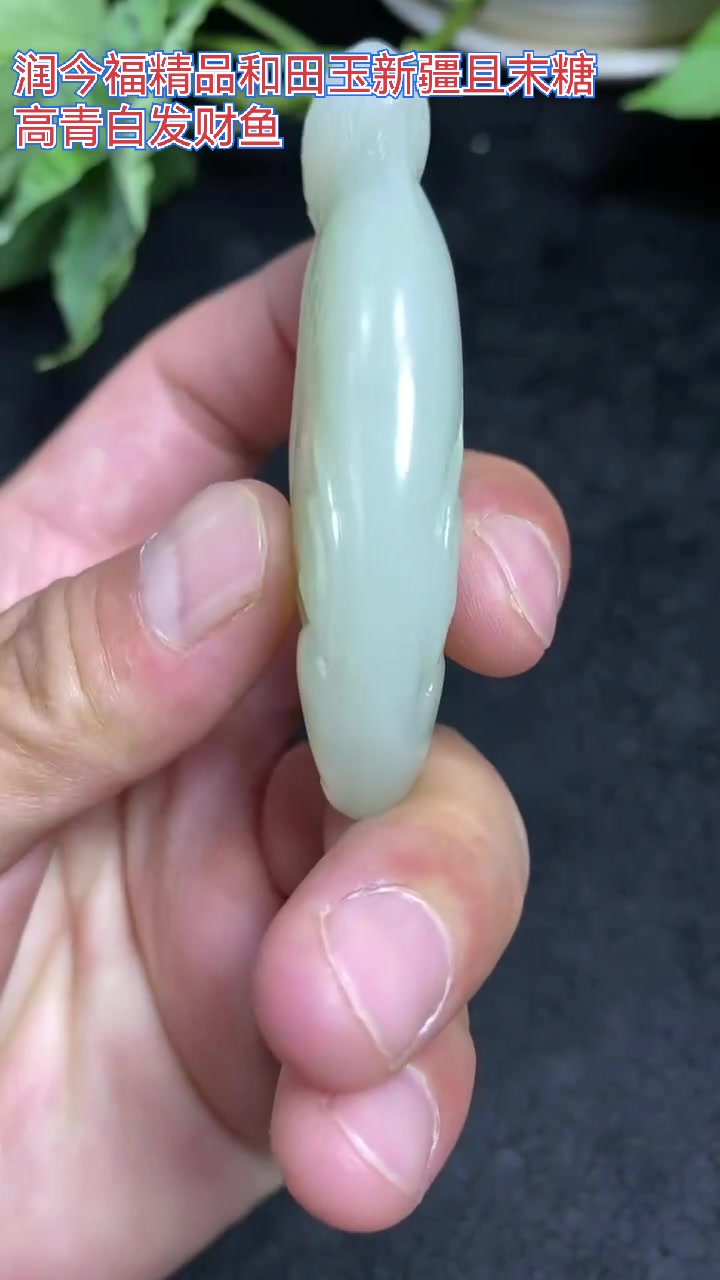 传承玉文化,新疆且末金山矿糖高青白发财鱼