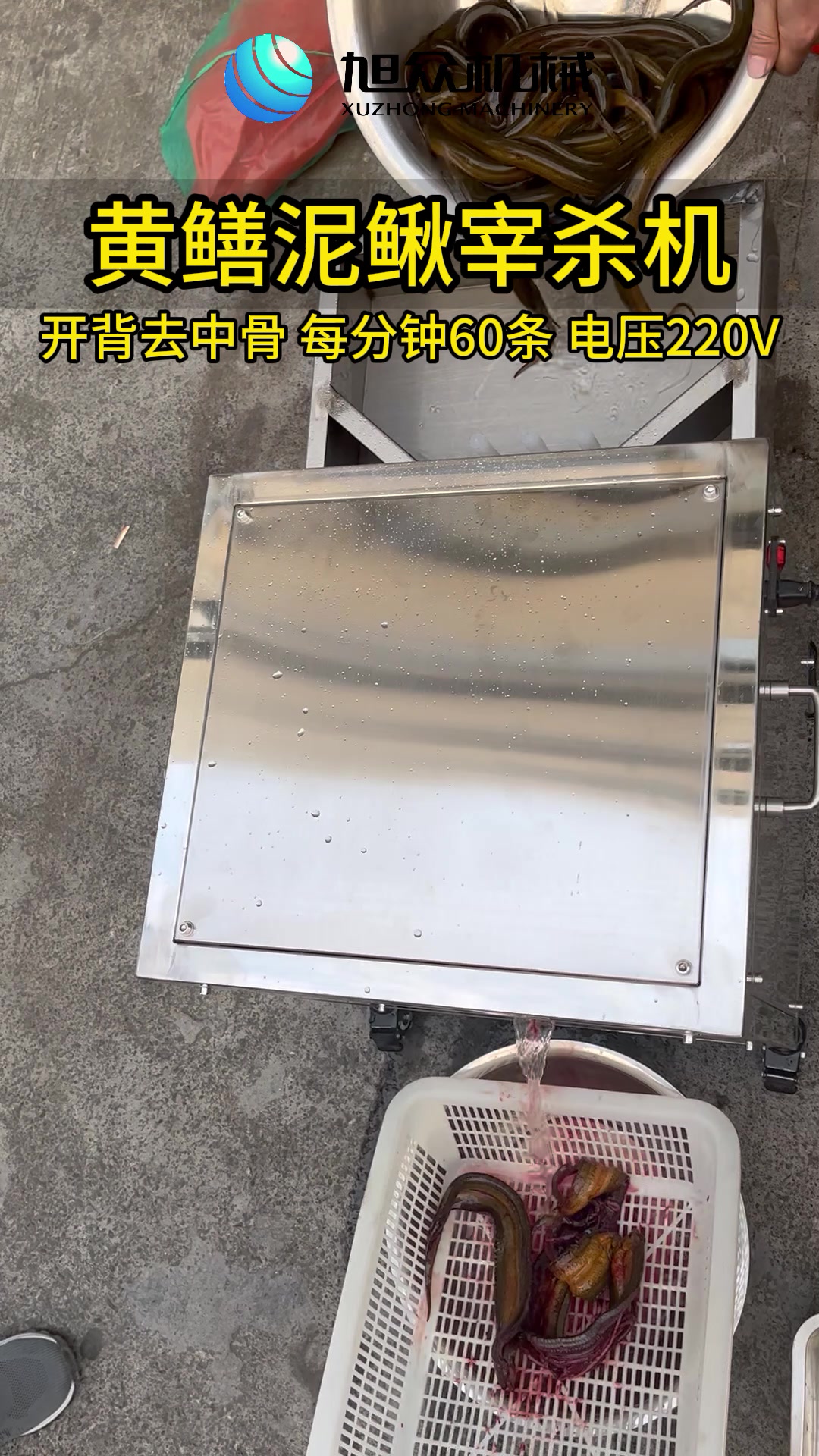 黄鳝自动开背去中骨机杀鱼机